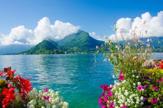 © Simon Dannhauer - stock.adobe.com Foto: Seeblick und Sommerblumen